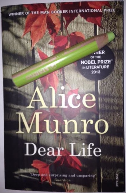 Ecco l'immagine del libro Cara Vita (Dear Life) di Alice Munro